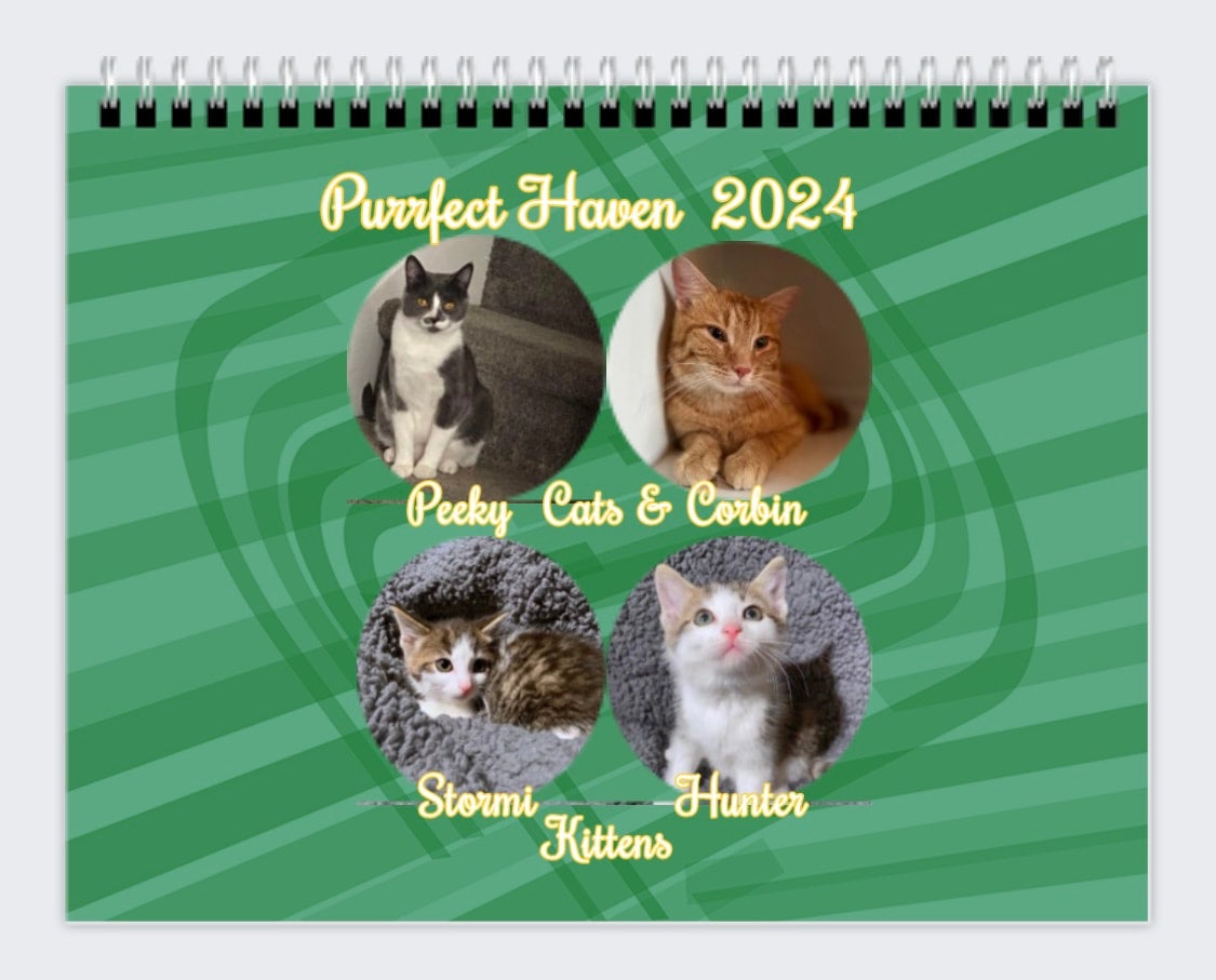 Purrfect haven shop